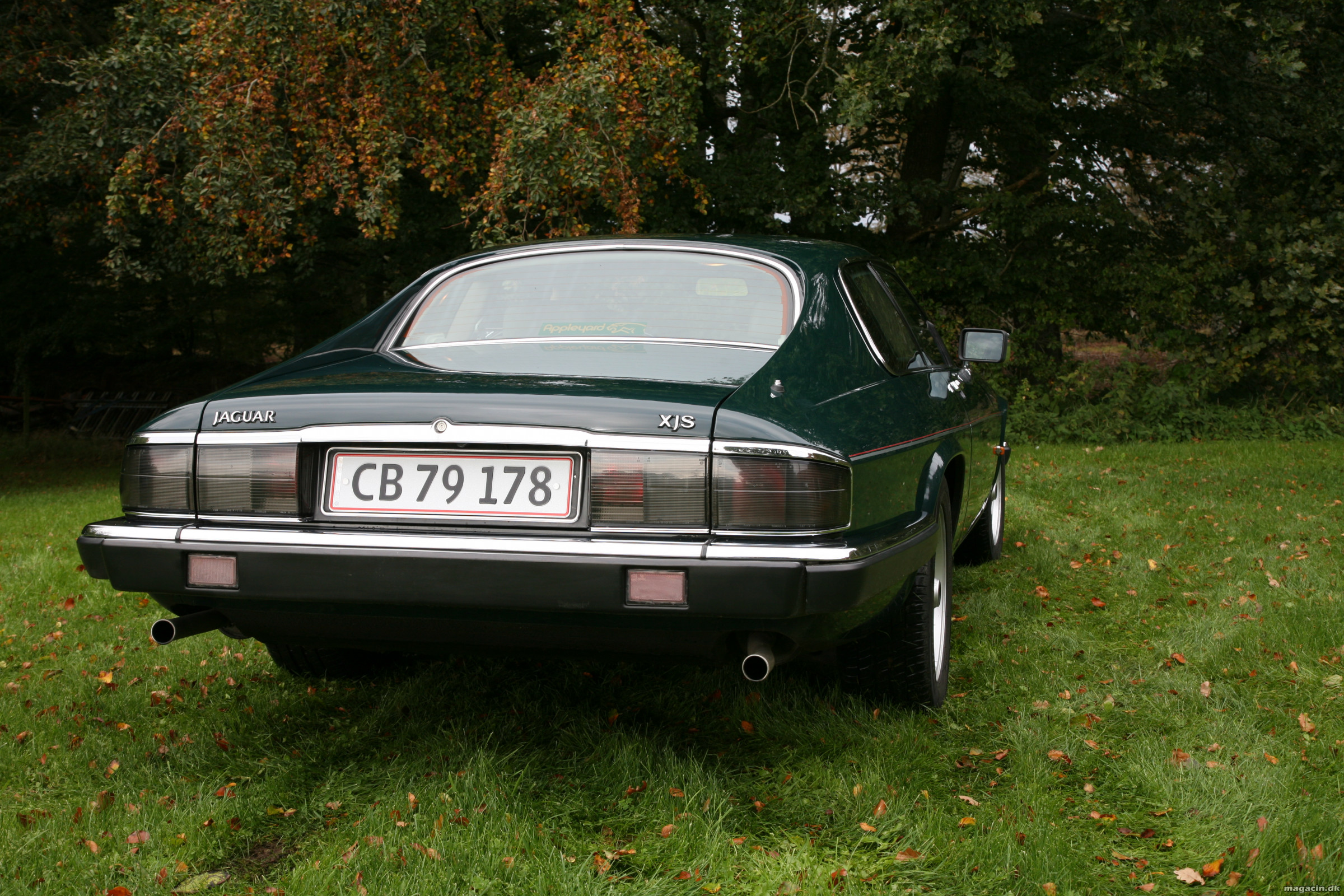 En 6-cylindret Jaguar XJS og dens ejer