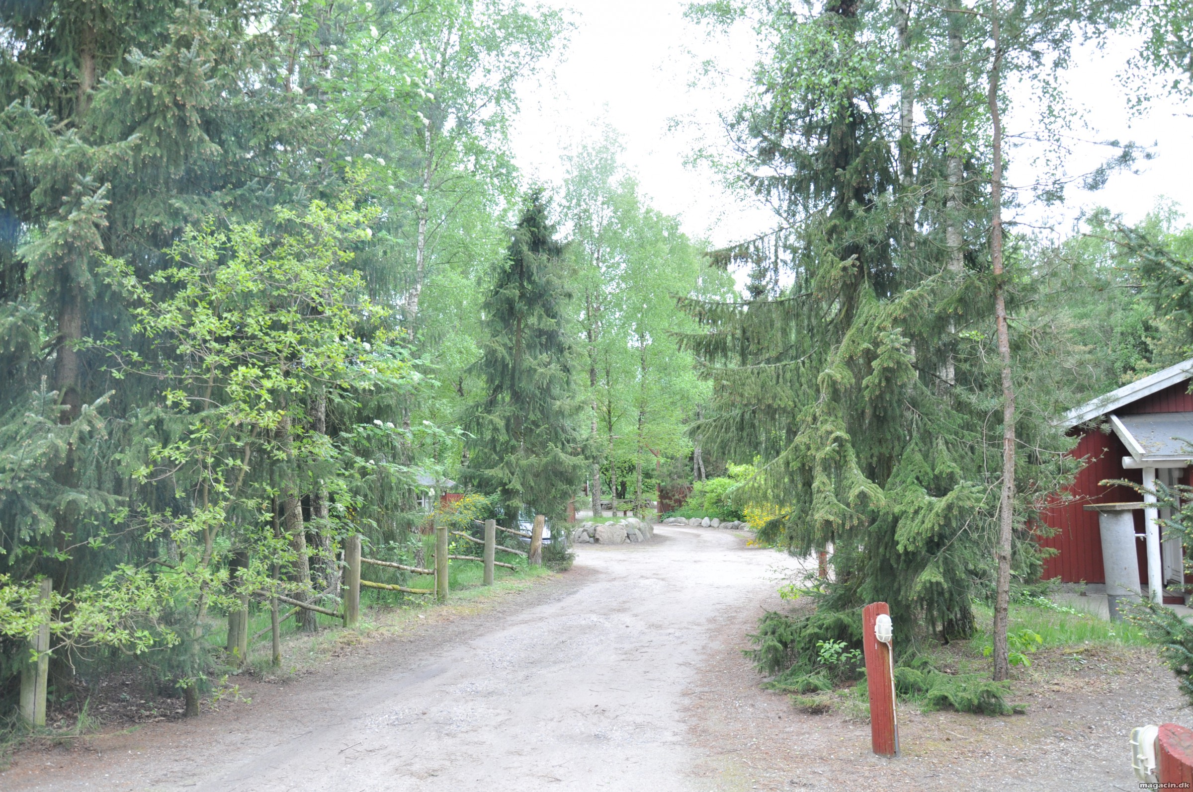 Djurs Hytteby & Camping