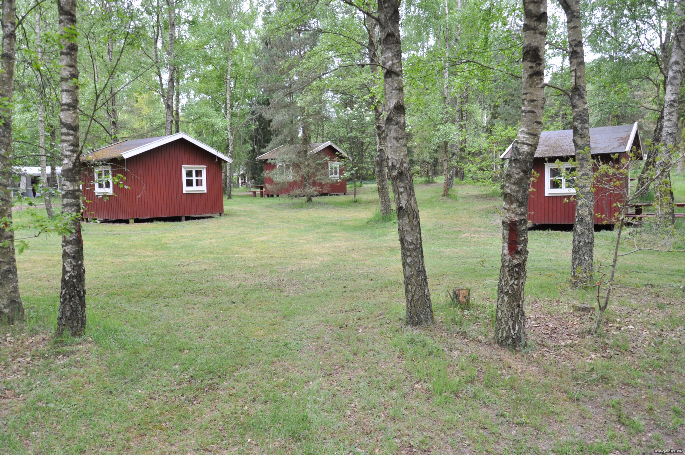 Djurs Hytteby & Camping