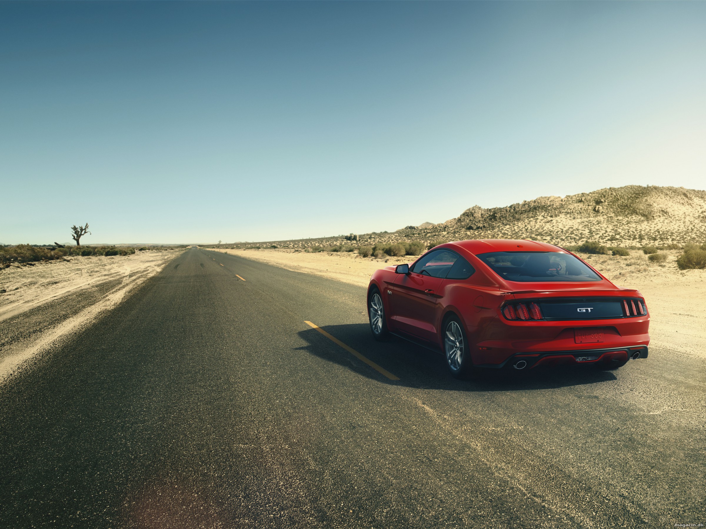 Stærk, sportslig og sexet Mustang kommer til DK