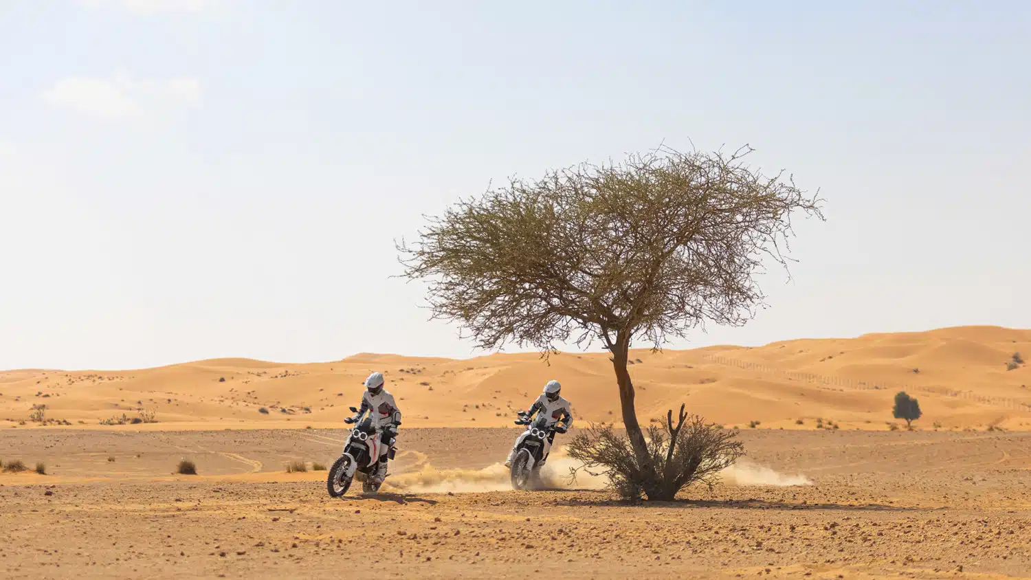 Ducati Desert X afsløret i dag