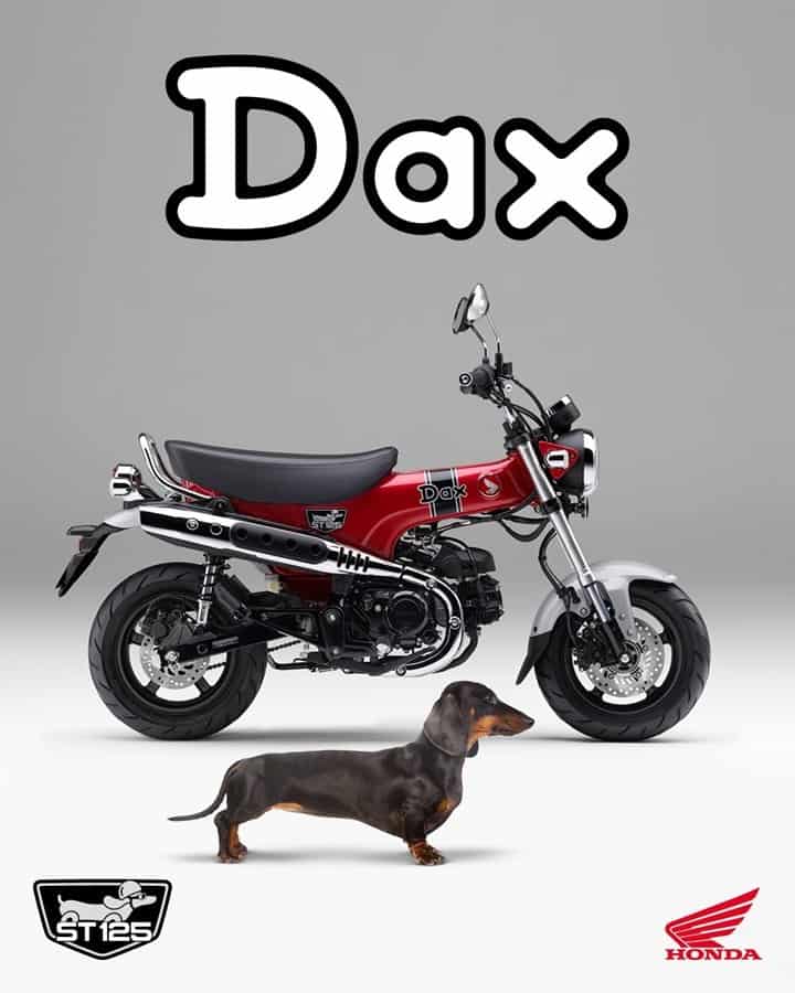 Honda Dax tilbage på programmet